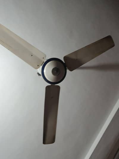 ceiling Fan