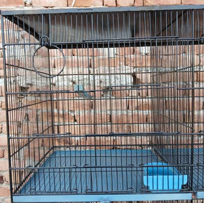Cage of Love Birds for Sale 8 portions 1.5'x1.5'