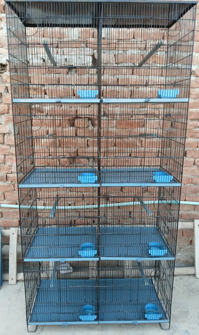 Cage of Love Birds for Sale 8 portions 1.5'x1.5' — photo 2