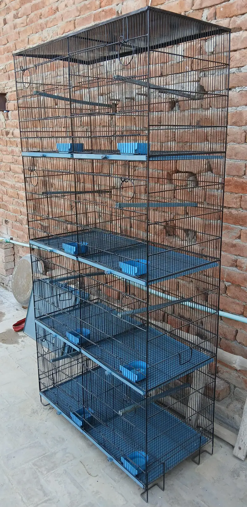 Cage of Love Birds for Sale 8 portions 1.5'x1.5' — photo 4