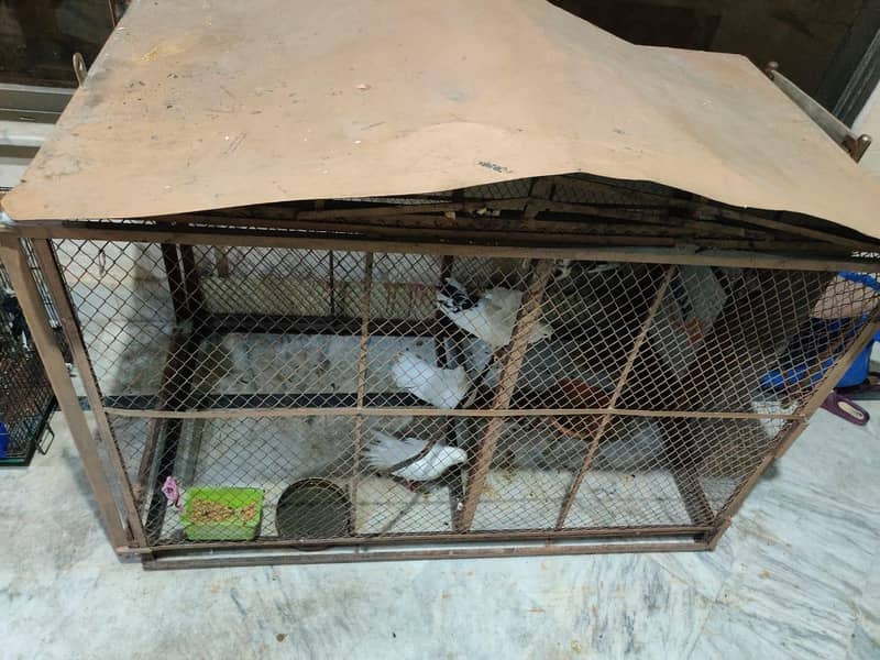 cages 1