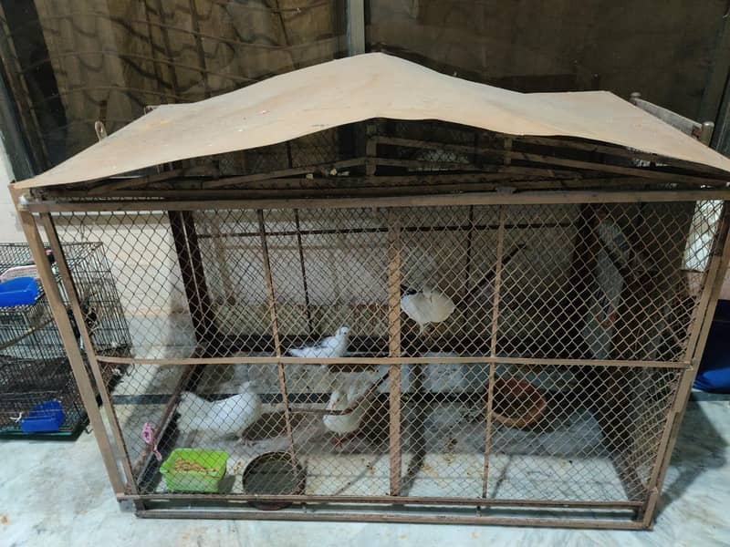 cages 2