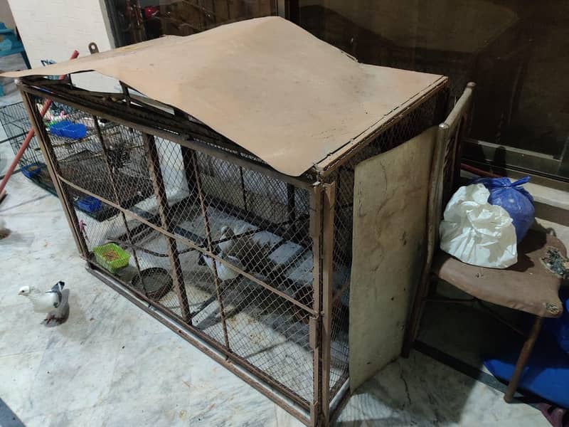 cages 5