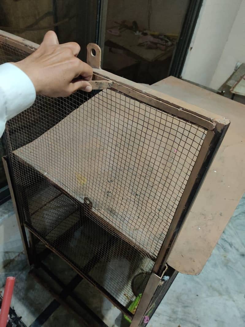 cages 6