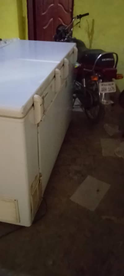 New freezer
