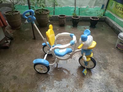 Duck Cycle