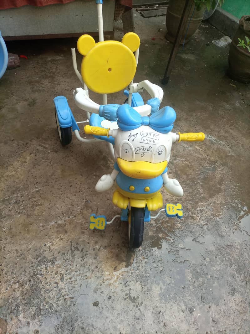 Duck Cycle 1