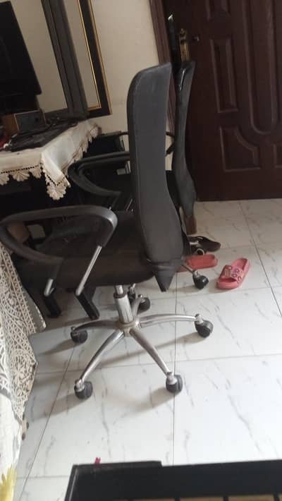 imported chairs
