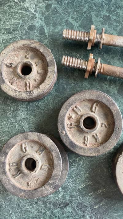 PURE IRON DUMBBELLS
