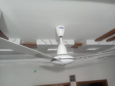 Pak fan slightly use 56 inch full size