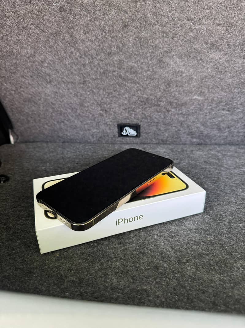 Apple iPhone 14 Pro Max 1