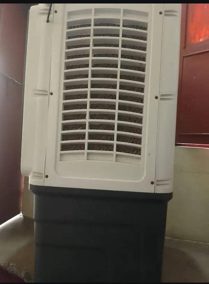 Cherry ac/dc cooler 1