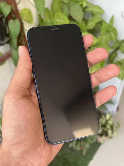 Apple iPhone 12
