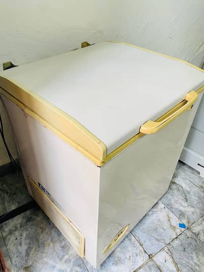 waves deep freezer