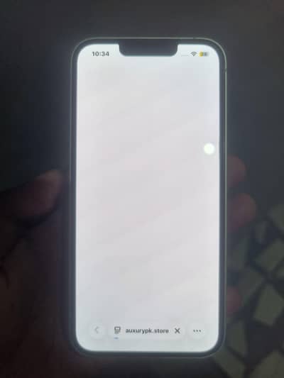 Apple iPhone 13