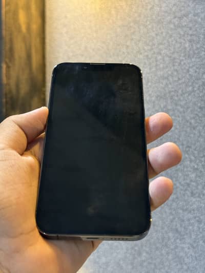Apple iPhone 13 Pro