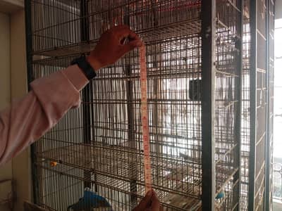 Birds cages