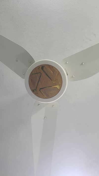 Ceiling AC, DC Fans
