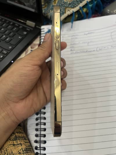Apple iPhone 12 Pro Max