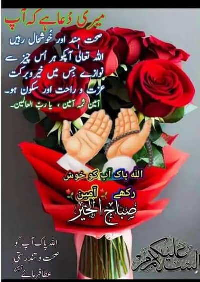 Assalamu alaikum mujhe  cooking ki jobs Chahiye main all
