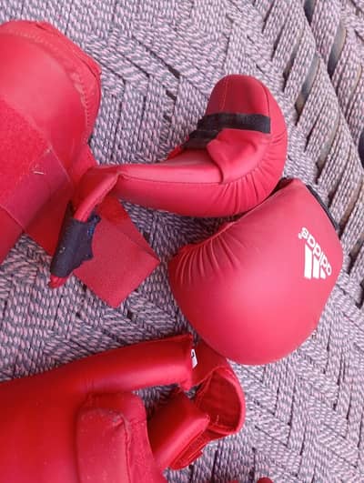 Karate protection set