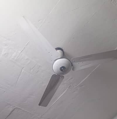 cealing fan for sale