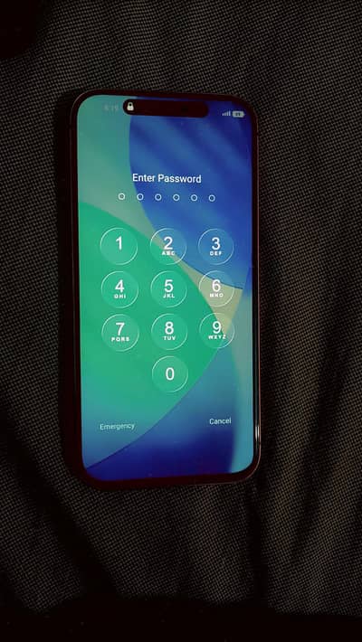 i17 pro max 256 gb pta approved