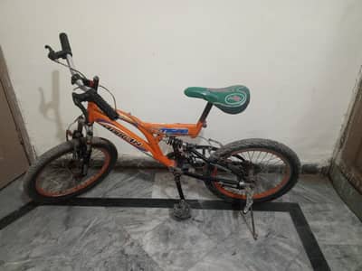 Racing Cycle