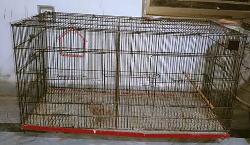 bird's Cage