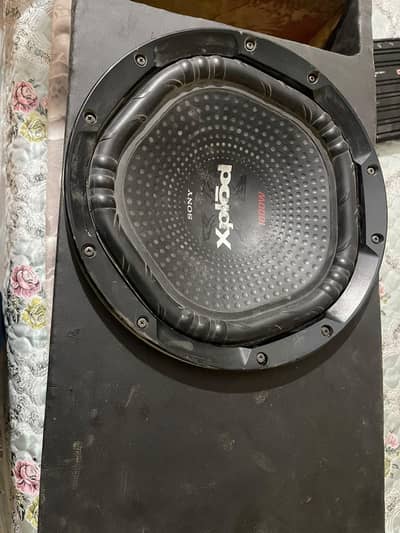 speakera and woofer amplifier