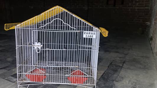 Birds and cage for sale