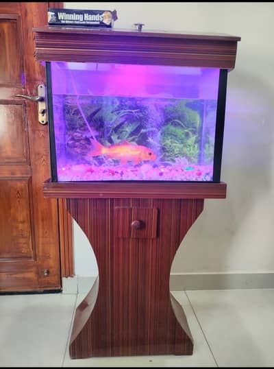 Complete Full Aquarium setup with Fish