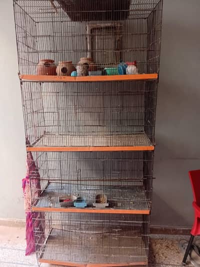 birds cage