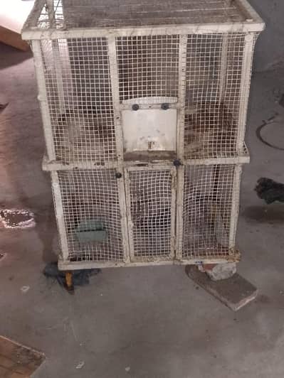 Hen Cage