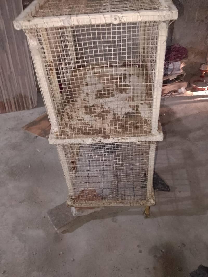 Hen Cage 1