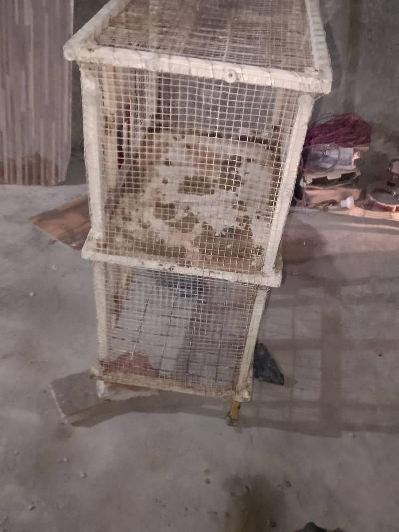 Hen Cage 3