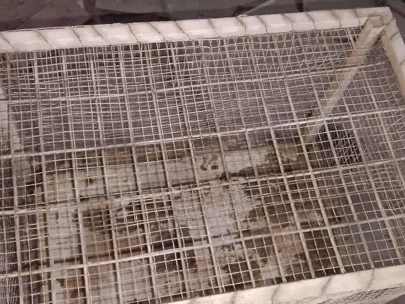 Hen Cage 5