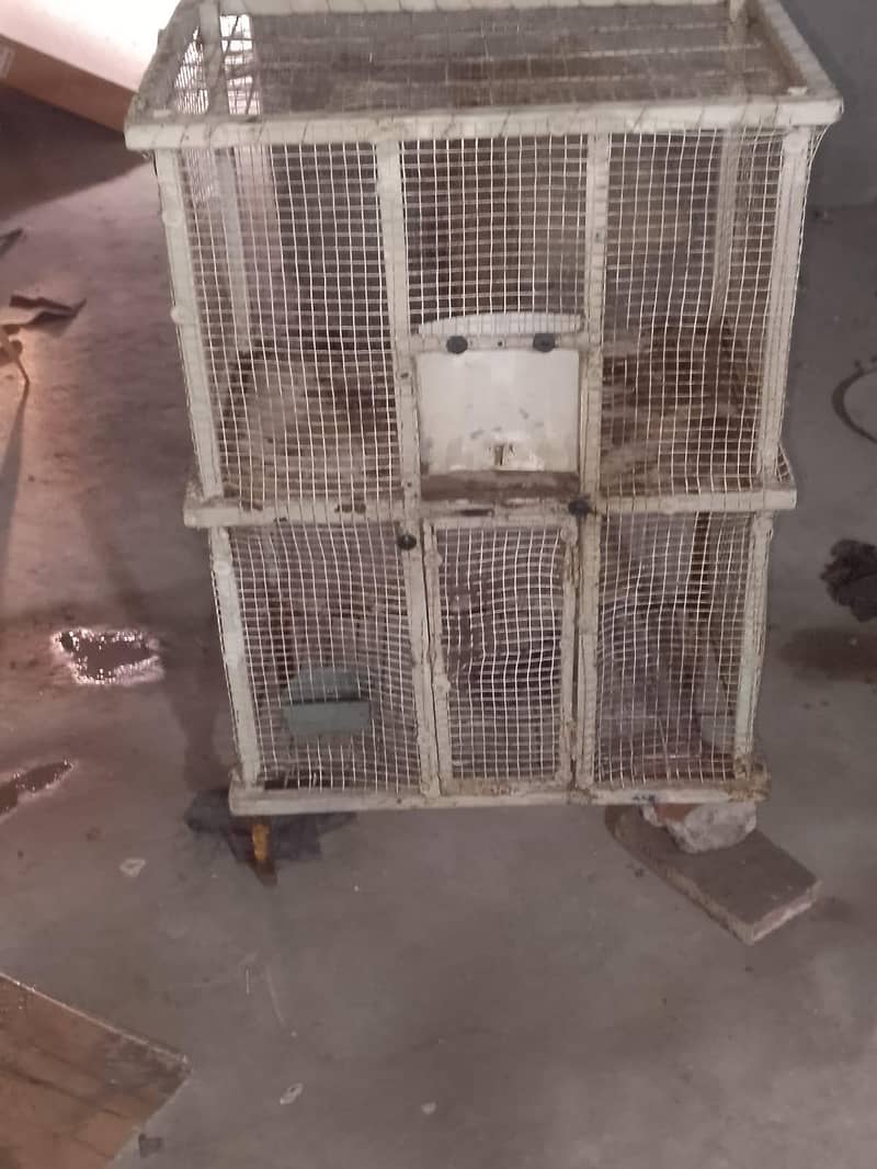Hen Cage 6