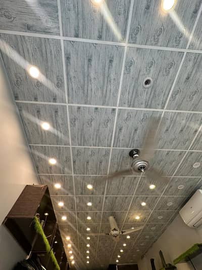 Ceiling and lights for sale
