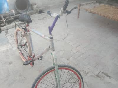 Phoenix cycle new