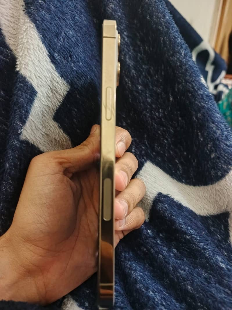 Apple iPhone 12 Pro Max 2