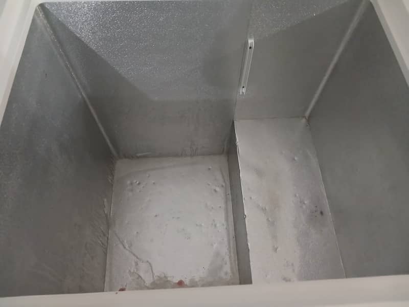 Single deep freezer 1
