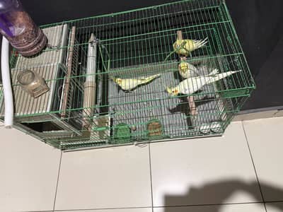 Good and breading pair