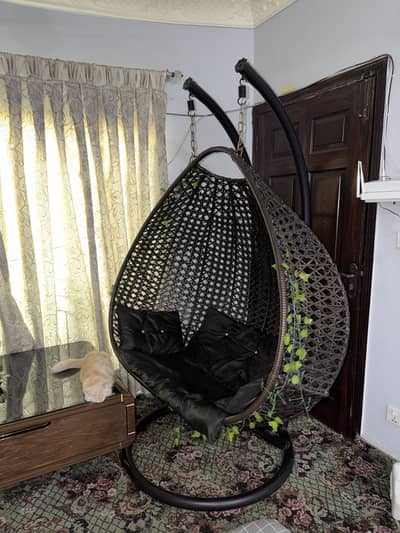 Hanging Egg Chair