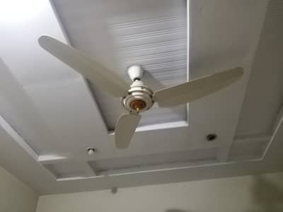 fan with good condition