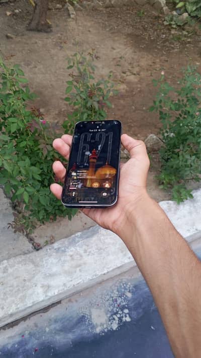Apple iPhone 12 Pro
