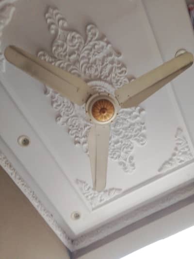 Ceiling fan for sale