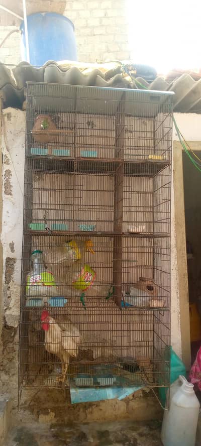 cage for sale