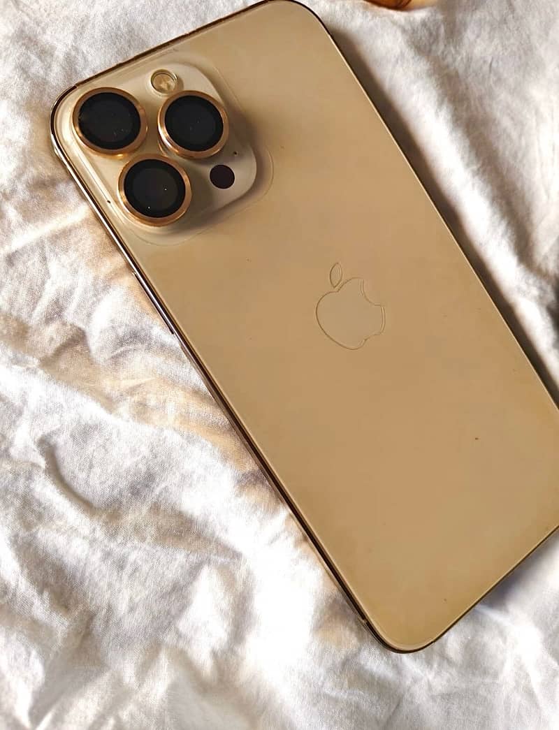 Apple iPhone 13 Pro Max 1