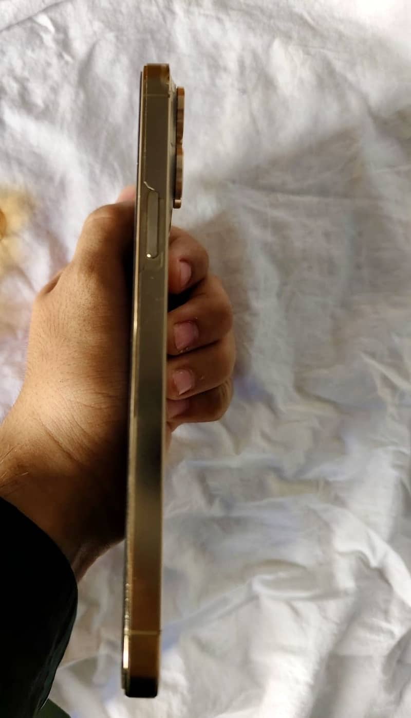 Apple iPhone 13 Pro Max 2
